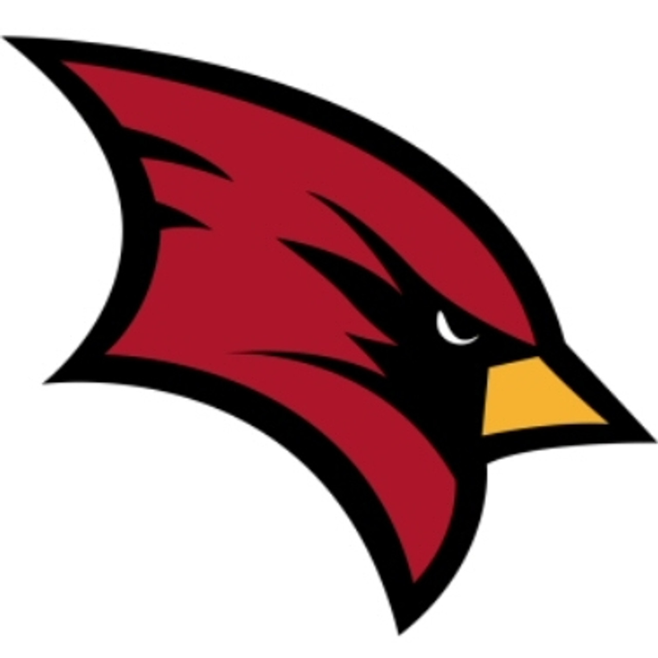 Saginaw Valley State Cardinals Saginaw Valley State Cardinals